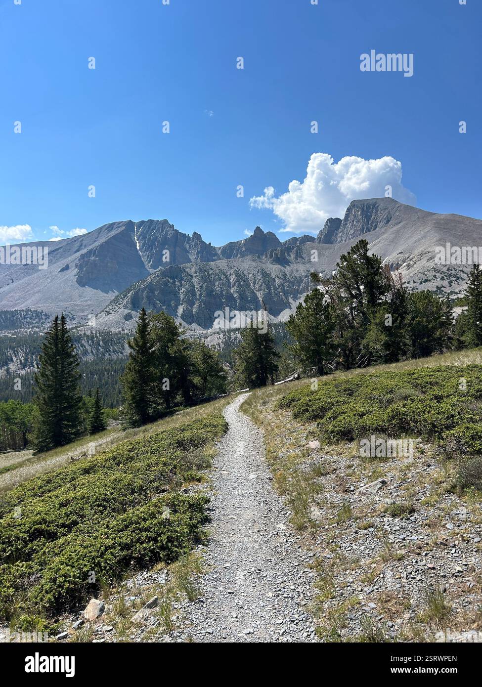 View of Mt. Wheeler in Great Basin National Park | Nevada - Smartphone Captured Stock Image