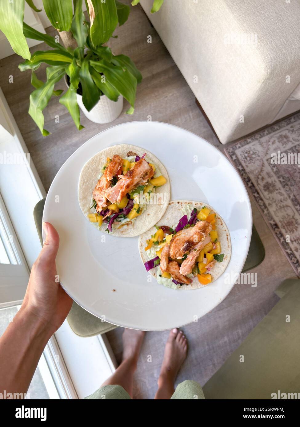 Salmon Tacos on a White Plate - Smartphone Captured Stock Image