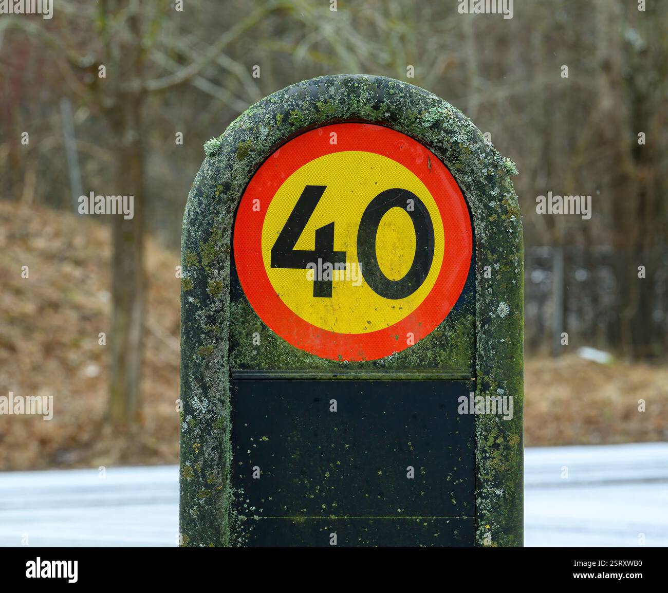 A bright circular speed limit sign indicates 40 km/h, covered in moss ...