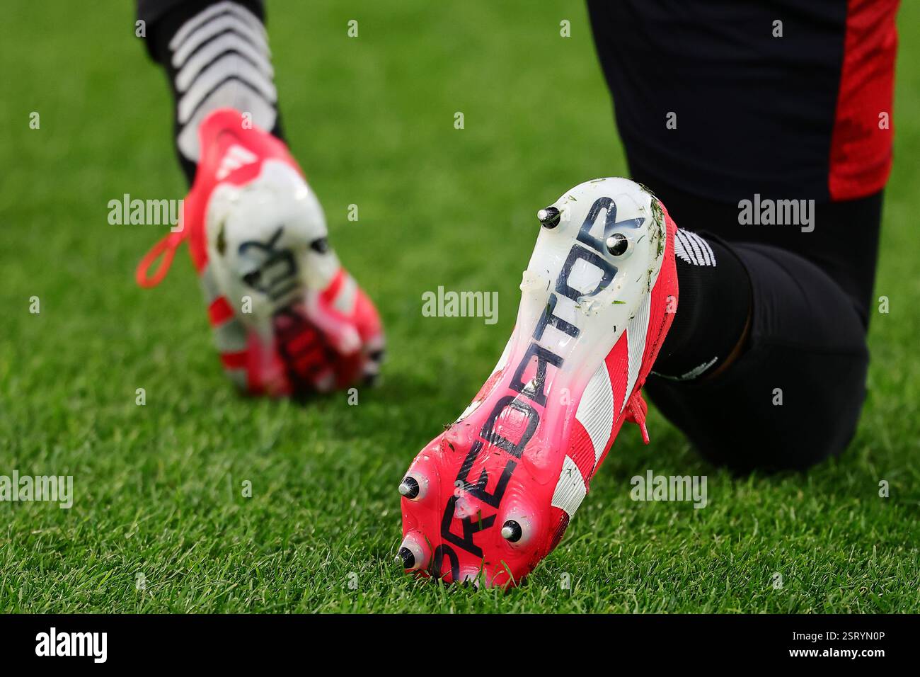 Adidas predator hi-res stock photography and images - Alamy