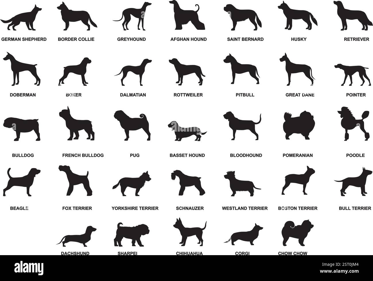 Dog breeds silhouette isolated on white vector illustration collection ...