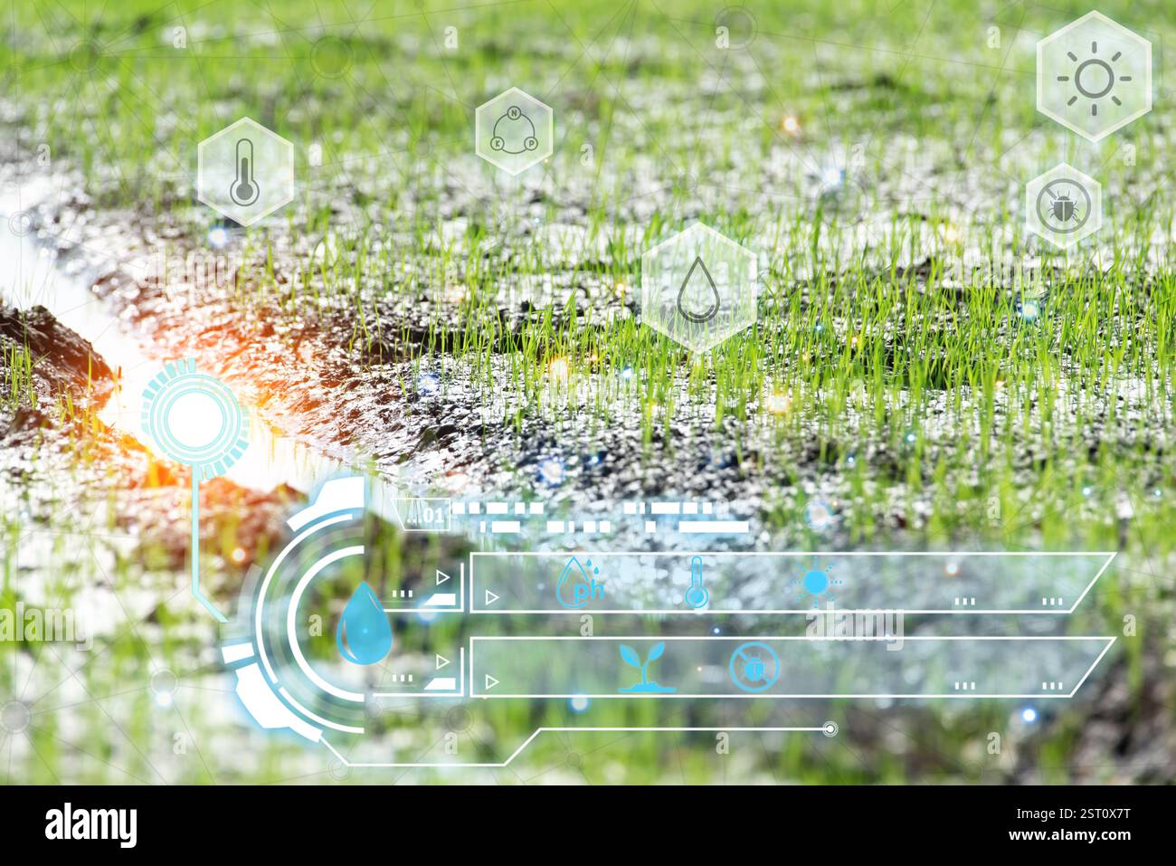 Smart farm digital icon and futuristic AI data infographic of Watering ...