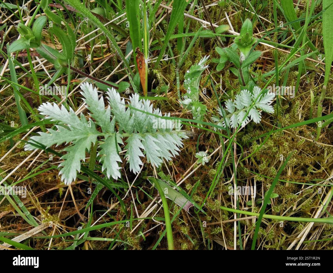 Boothstown hi-res stock photography and images - Alamy