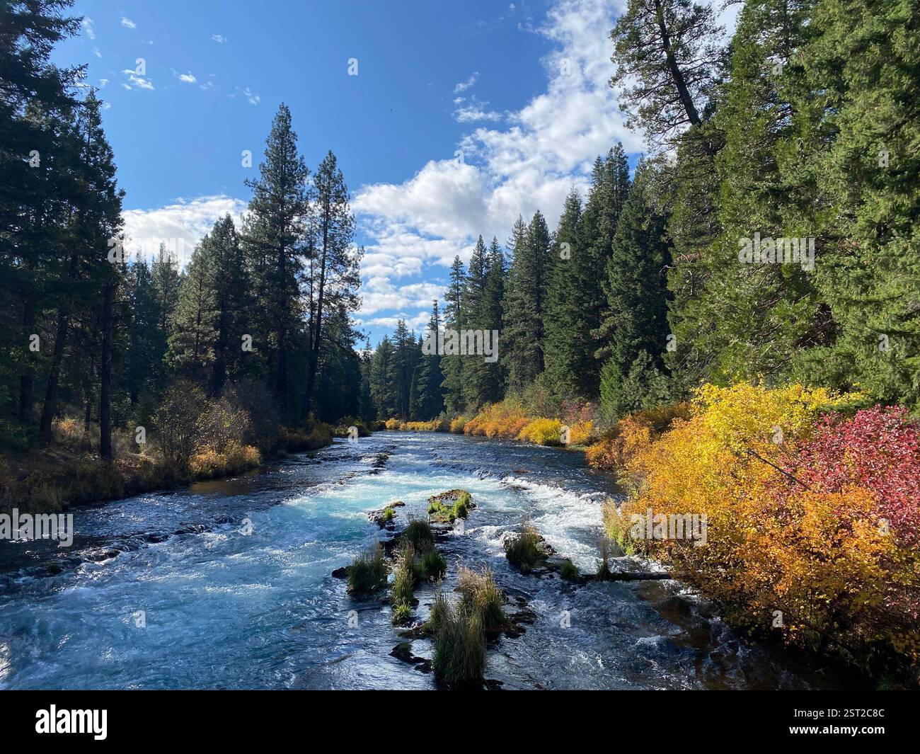 Fall day - Smartphone Captured Stock Image