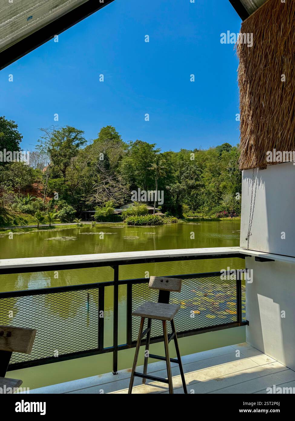 Modern Stilt House by a Tranquil Pond3 A contemporary small house with a slanted roof and a stilted terrace, located by a calm pond surrounded by lush - Smartphone Captured Stock Image