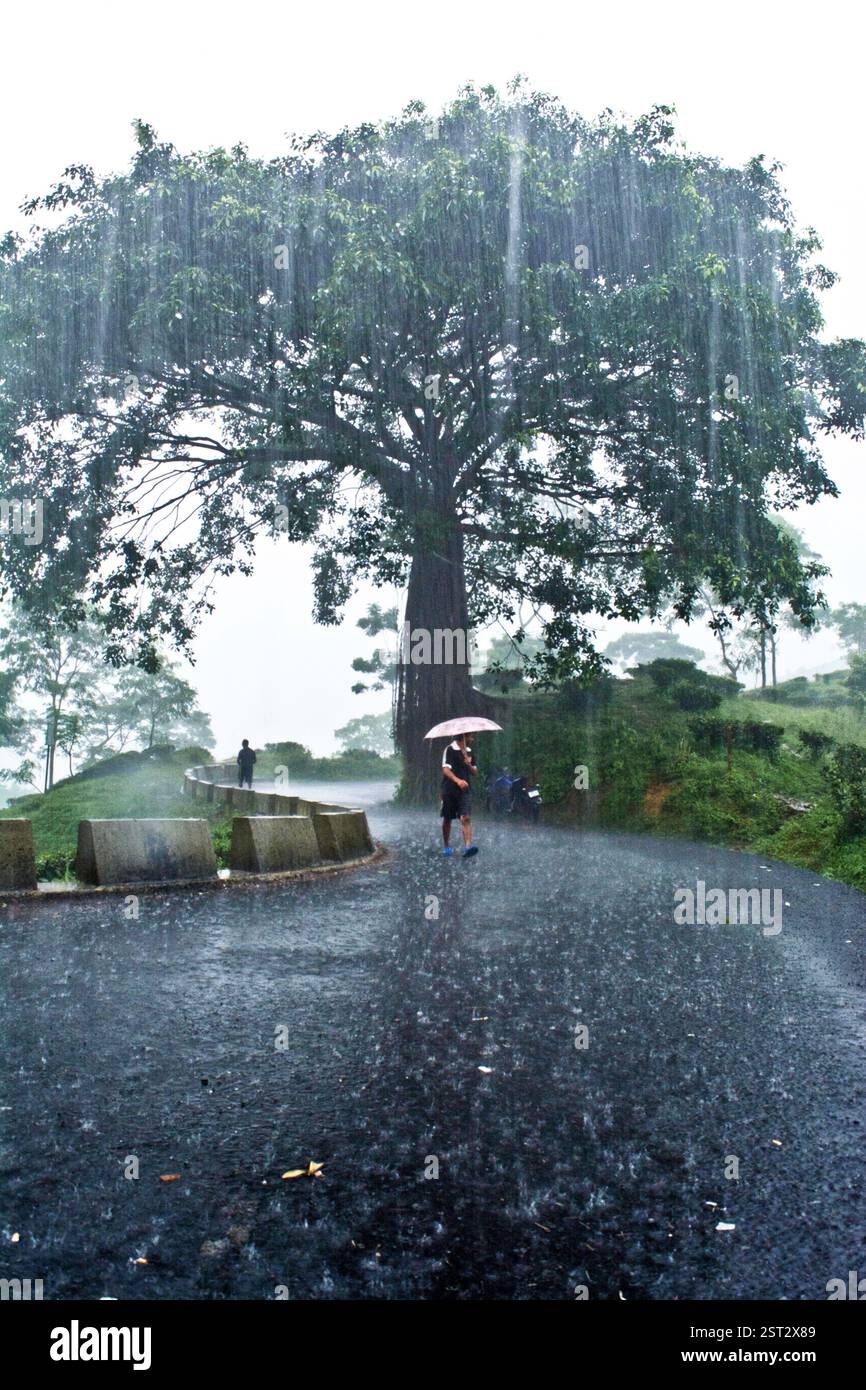 Weather heavy rain falling on hi-res stock photography and images - Alamy