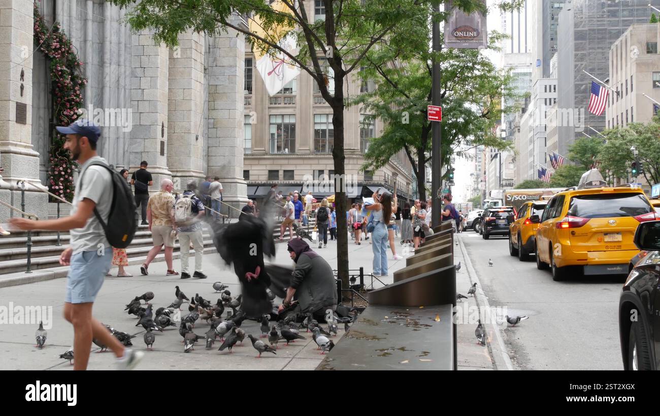 Begging 5th avenue new hi-res stock photography and images - Alamy