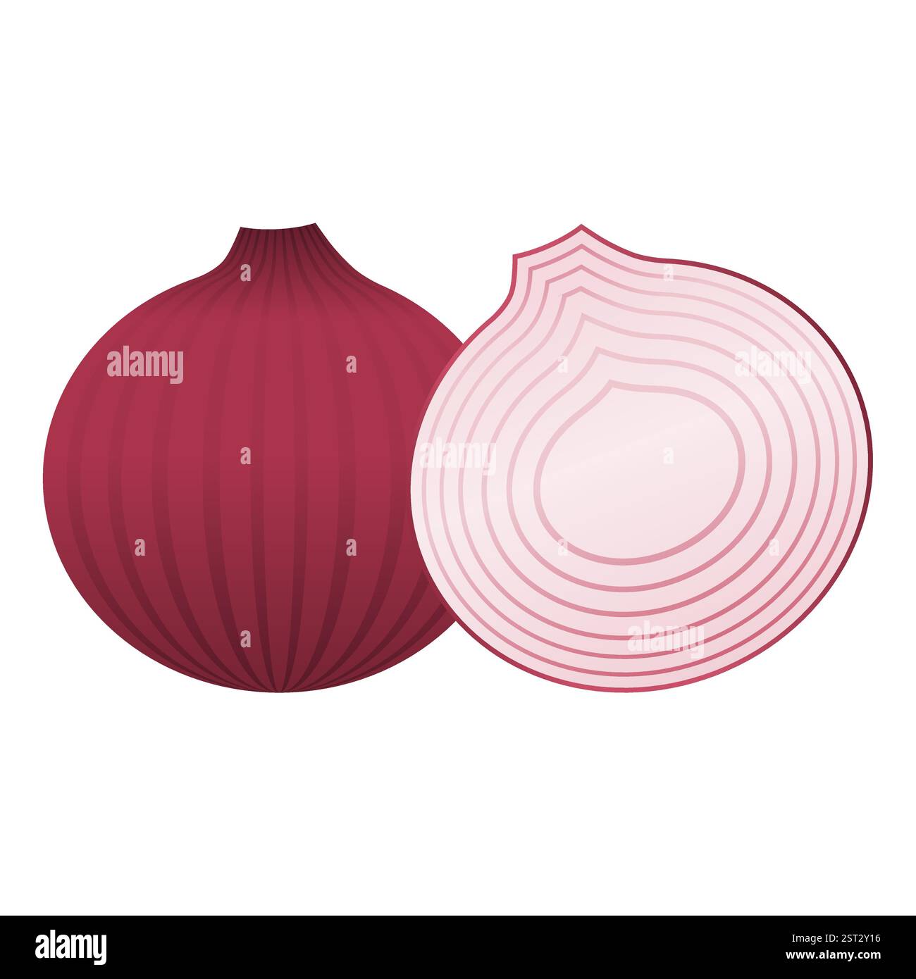 Onion clip art hi-res stock photography and images - Alamy