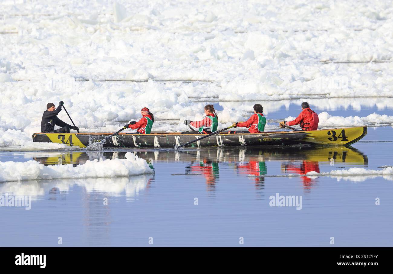 Traditional Ice Canoe Race on frozen Saint Lawrence River from Quebec to Levis during Quebec winter Carnival. Stock Photo