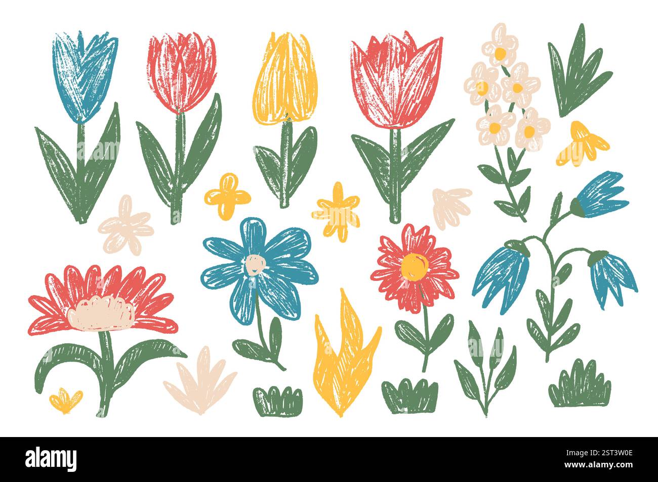 Vector Spring flowers crayon drawn set. Tulip, daisy, chamomile and ...