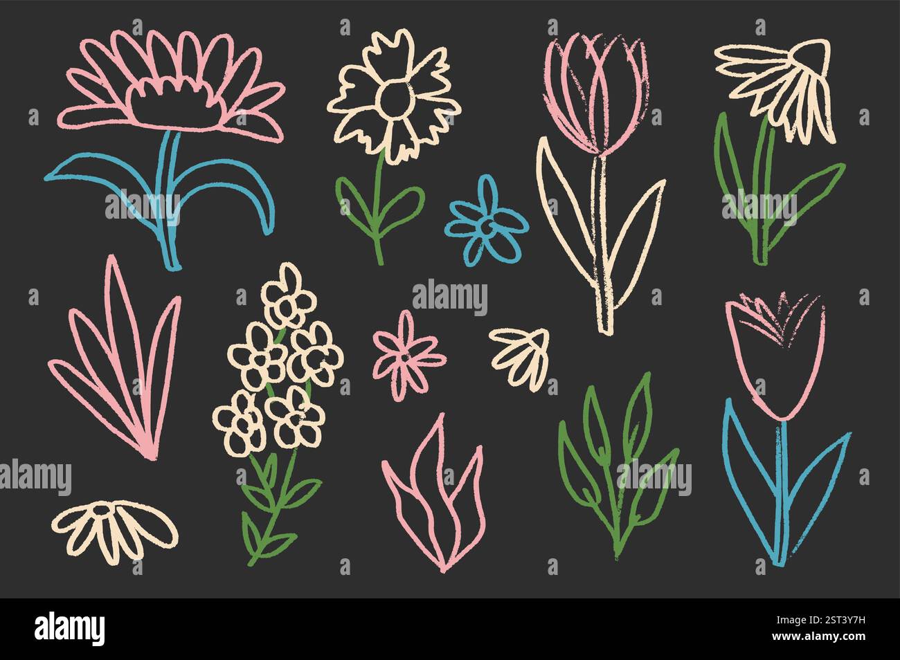 Flowers and leaves chalk colorful drawn set on school blackboard ...