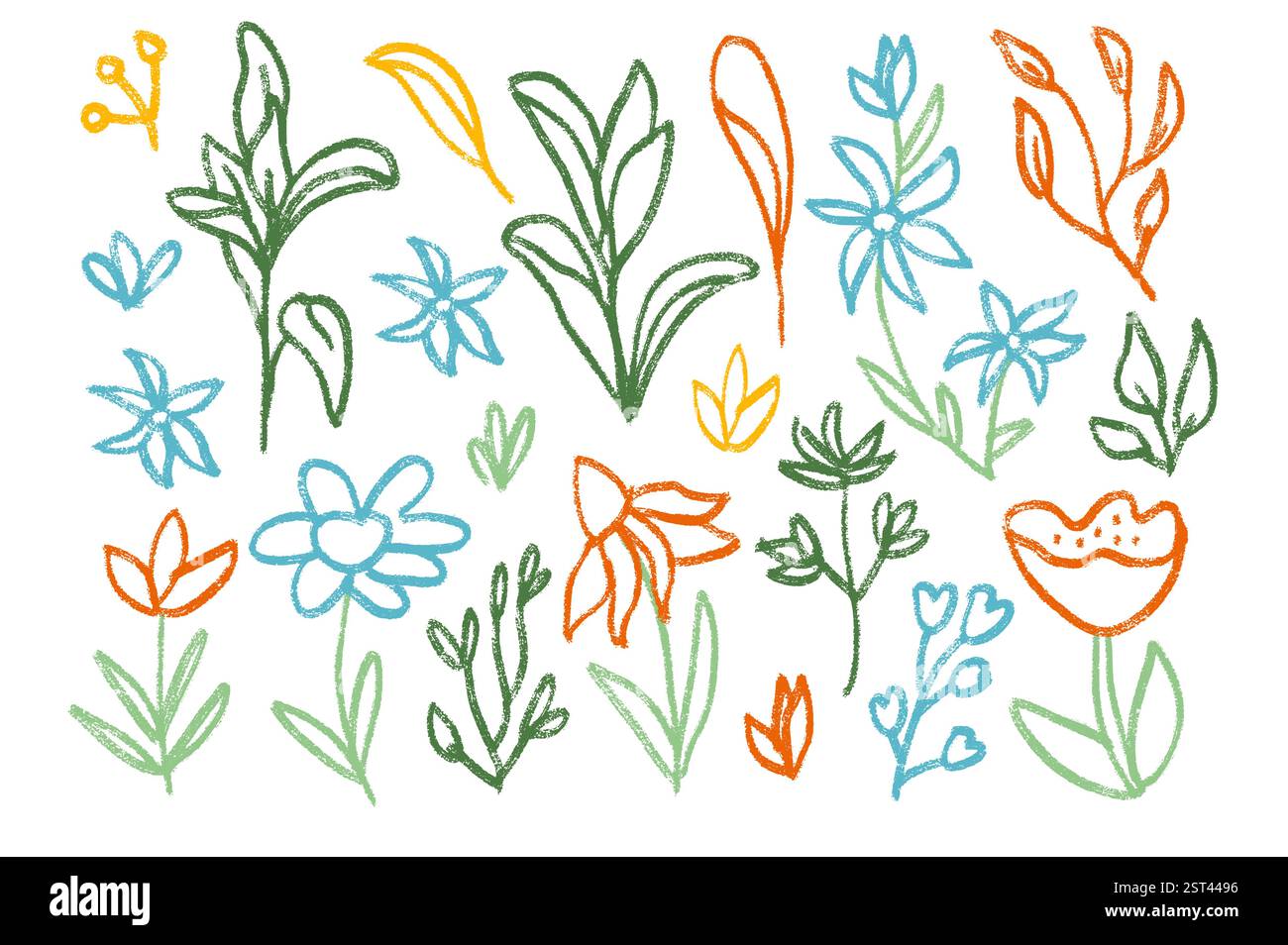 Flowers and leaves crayon drawn set. Spring tulip, daisy, chamomile and ...