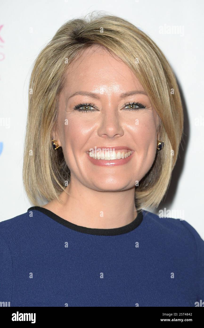 The Rise of Dylan Dreyer: From Local News to National Stardom - Coalescence