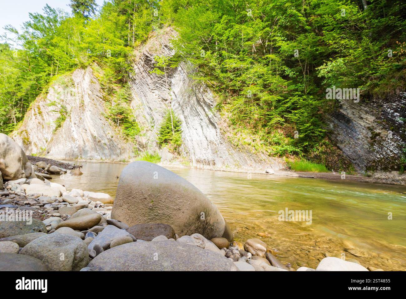 mountain river with stones on the shore. outdoor adventure. scenic landscape with forest on the rocky mountain slope. nature scenery on a sunny summer Stock Photo
