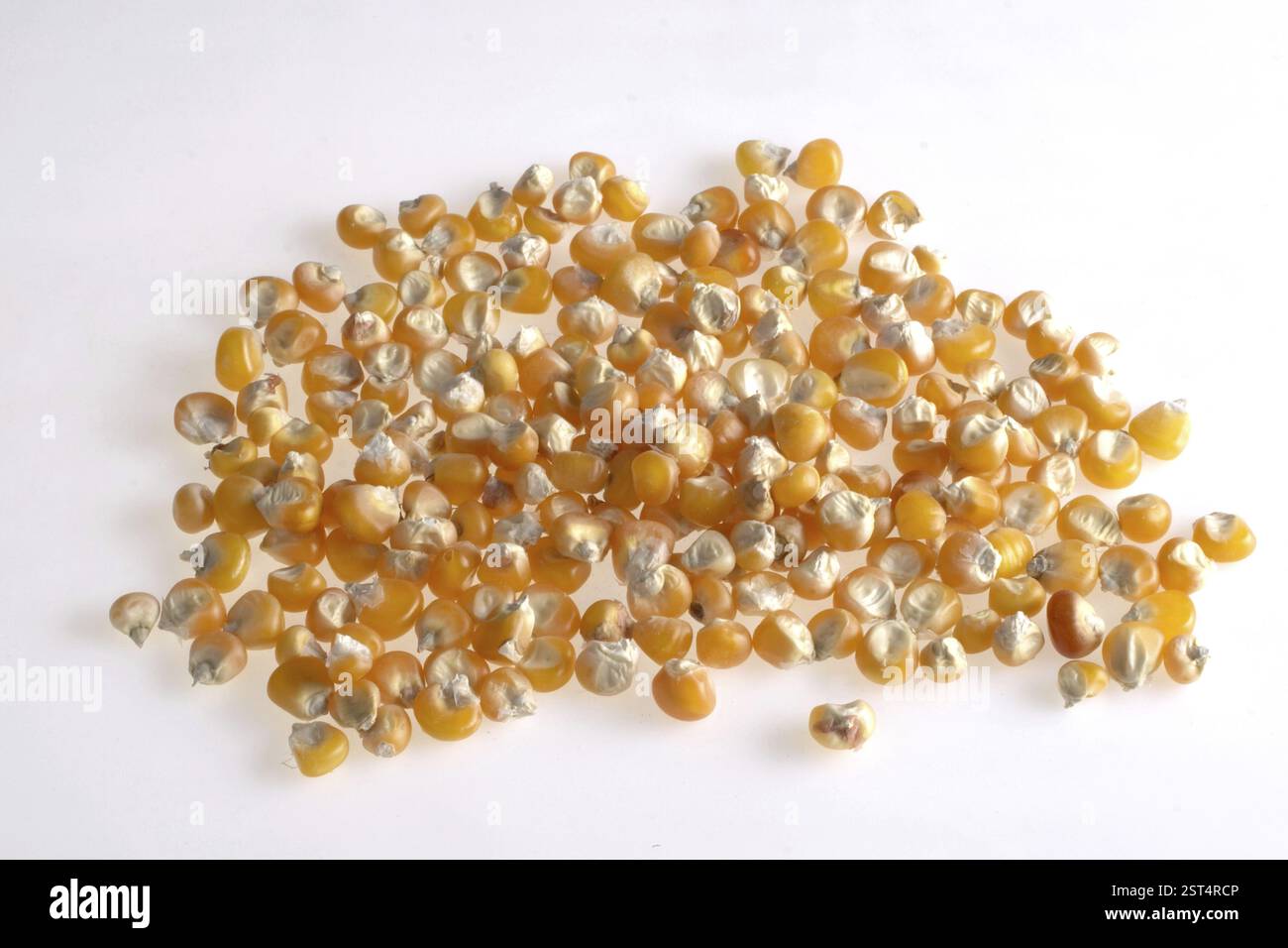 Food corn maize makki hi-res stock photography and images - Alamy