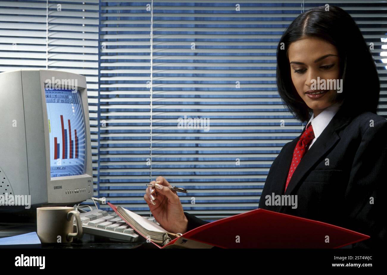 Executive on the Computer Stock Photo - Alamy