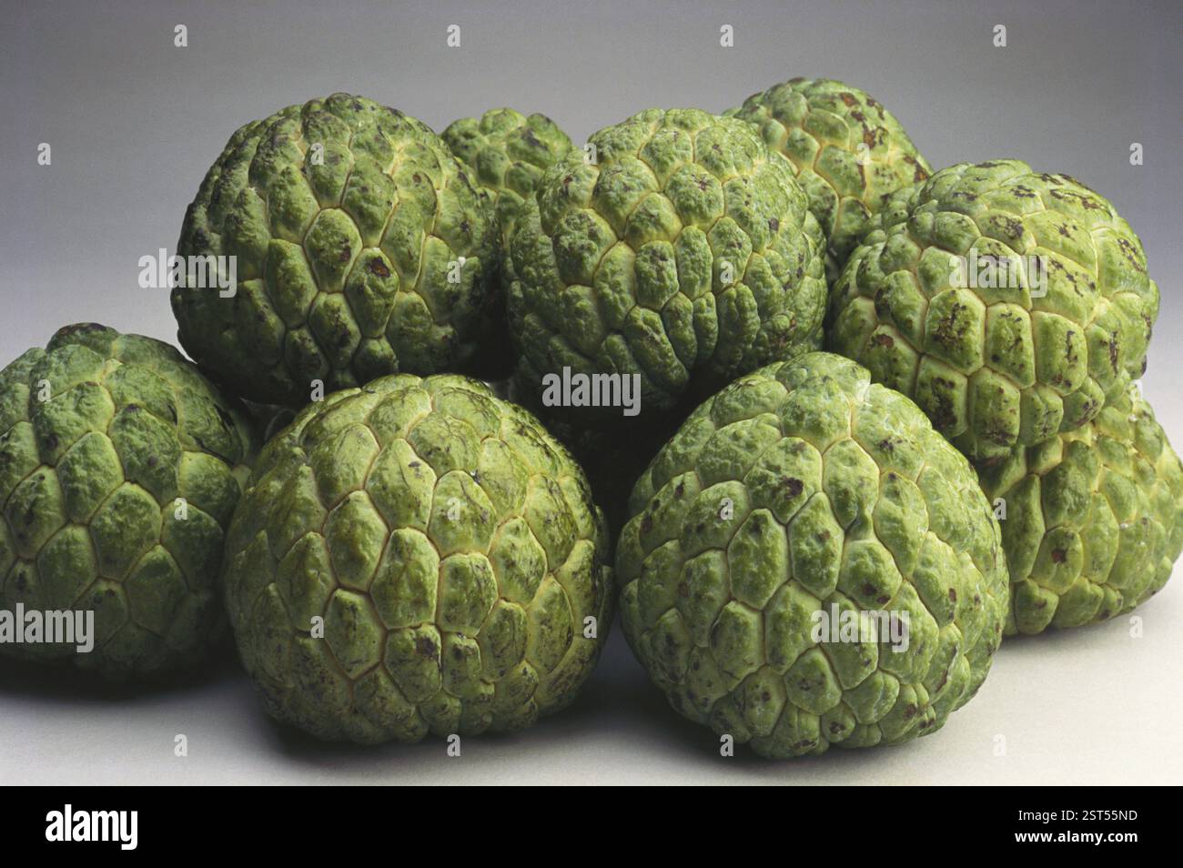 Fruits, custard apples on white background Stock Photo