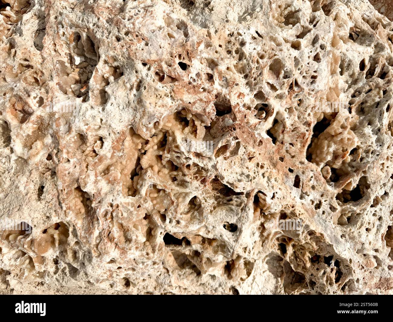Porous designs hi-res stock photography and images - Alamy