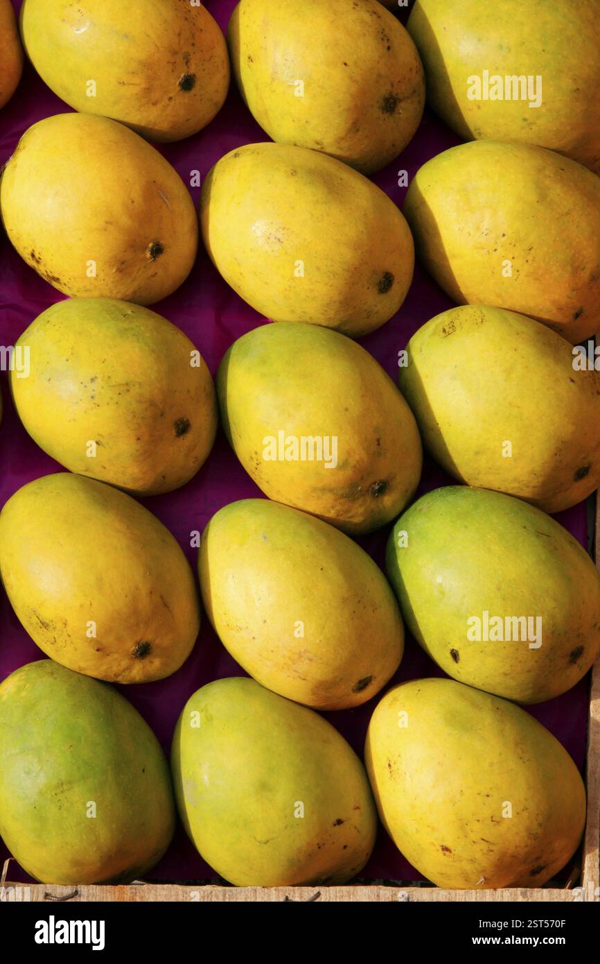 Fruits, Mangoes the king of the fruits are available in summer months ...