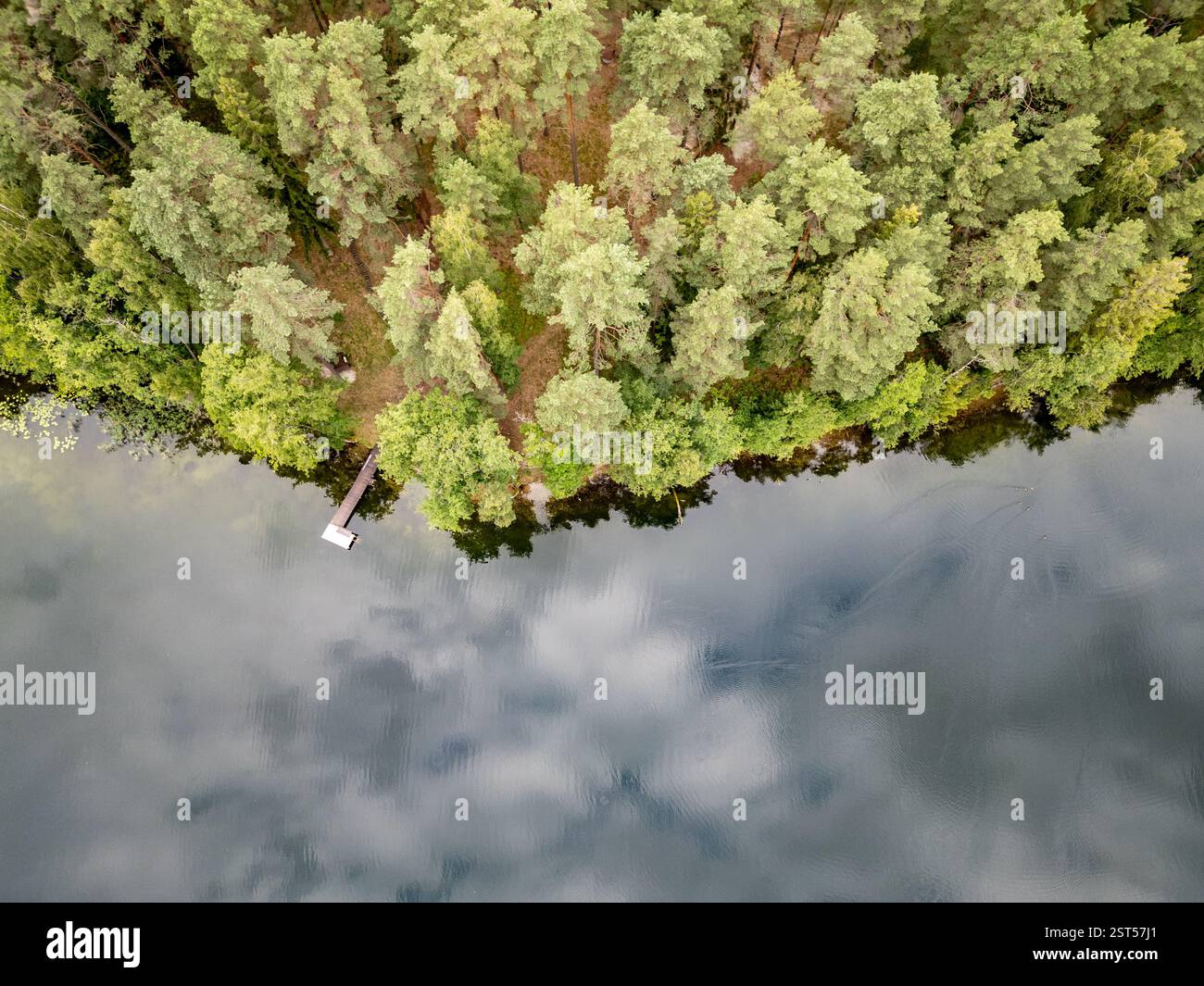 Drone view of Lake Aviris in Druskininkai Municipality, Alytus County of Lithuania Stock Photo