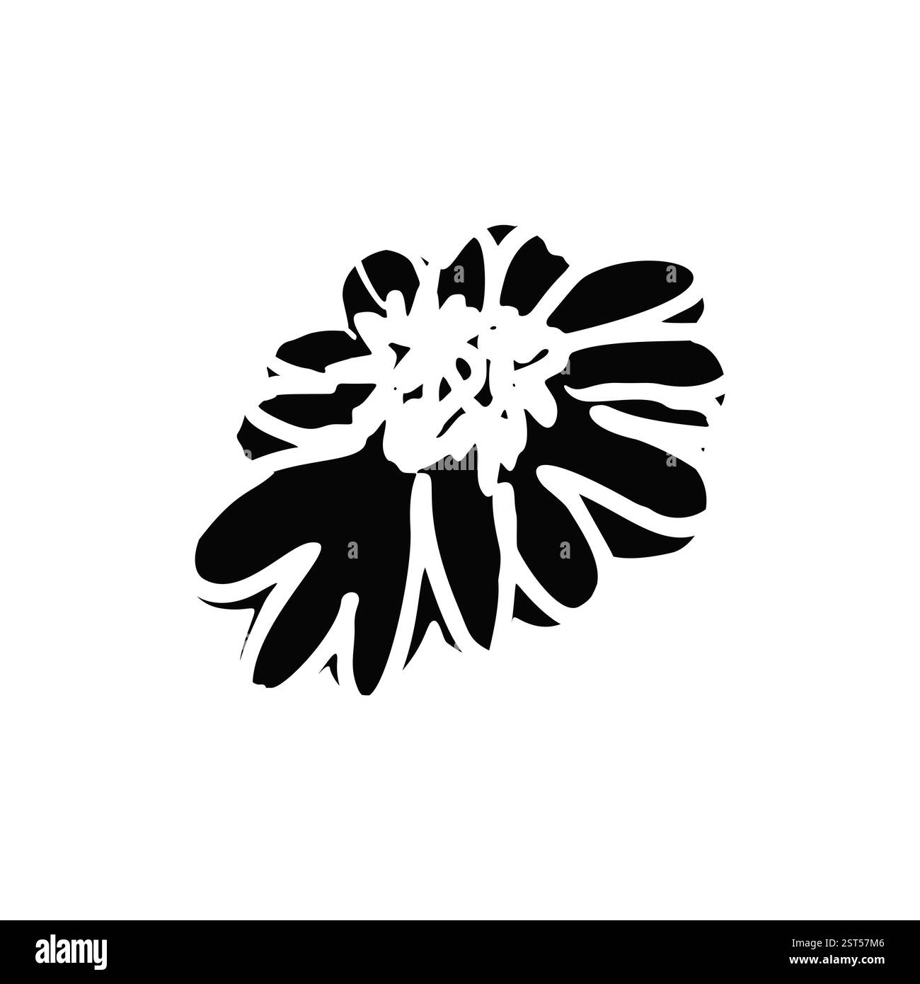 Hand drawn black ink abstract daisy flower silhouette isolated on white ...
