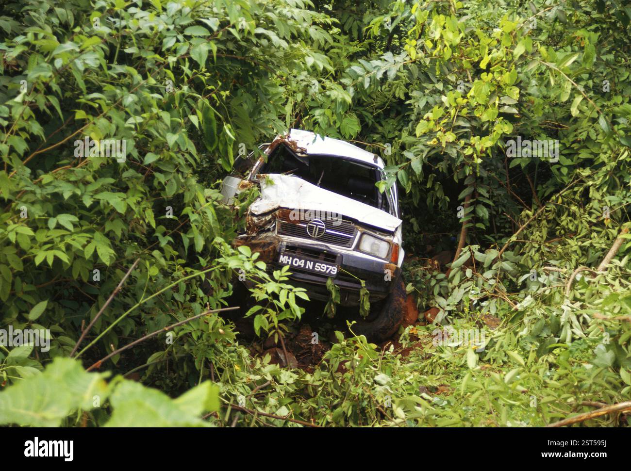 Car fallen down in bushes, India, Asia Stock Photo - Alamy