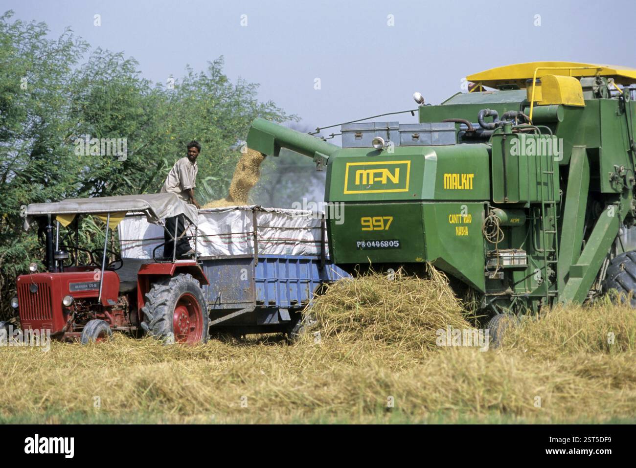 Tractor in wheat field, Gurdaspur, Punjab
