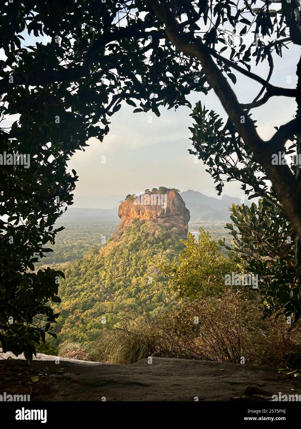 Tropical sunset - Smartphone Captured Stock Image