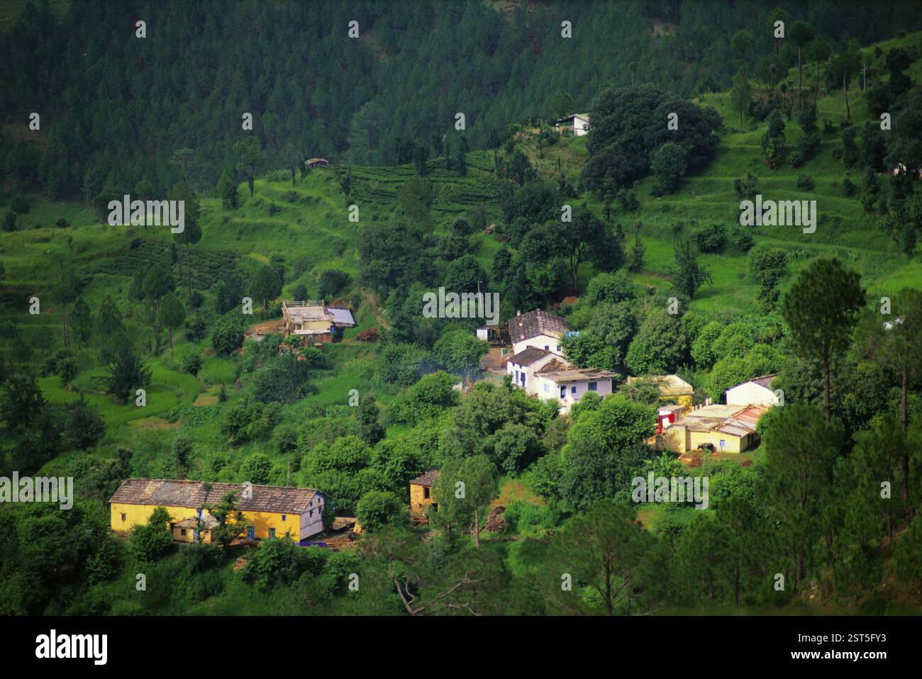 Aerial top view indian village hi-res stock photography and images - Alamy