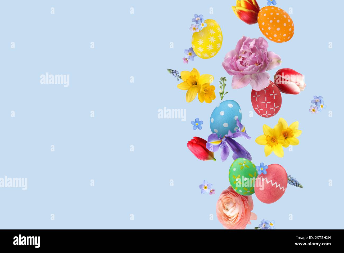 Easter eggs and beautiful spring flowers flying on pastel blue ...