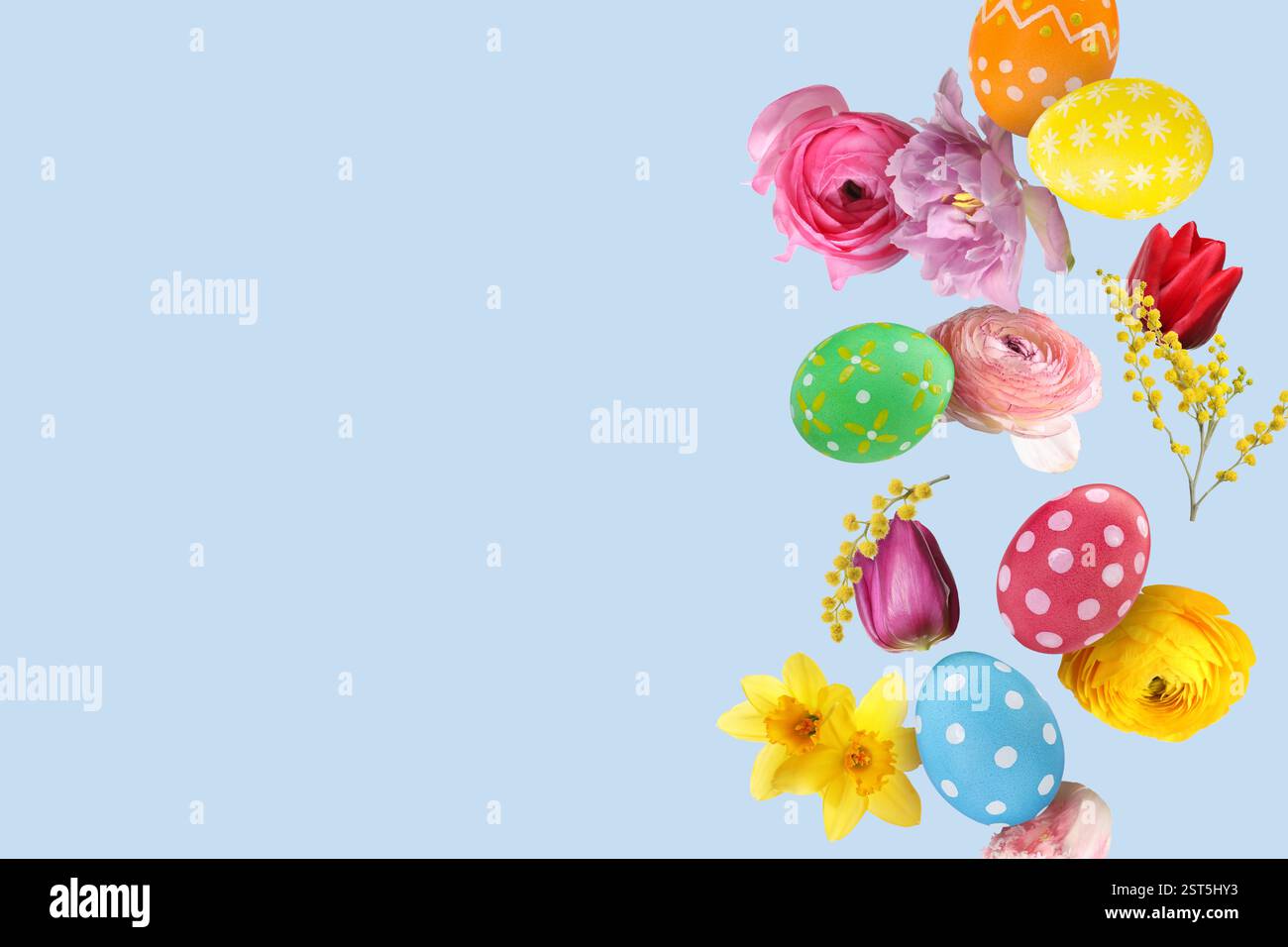 Easter eggs and beautiful spring flowers flying on pastel blue ...
