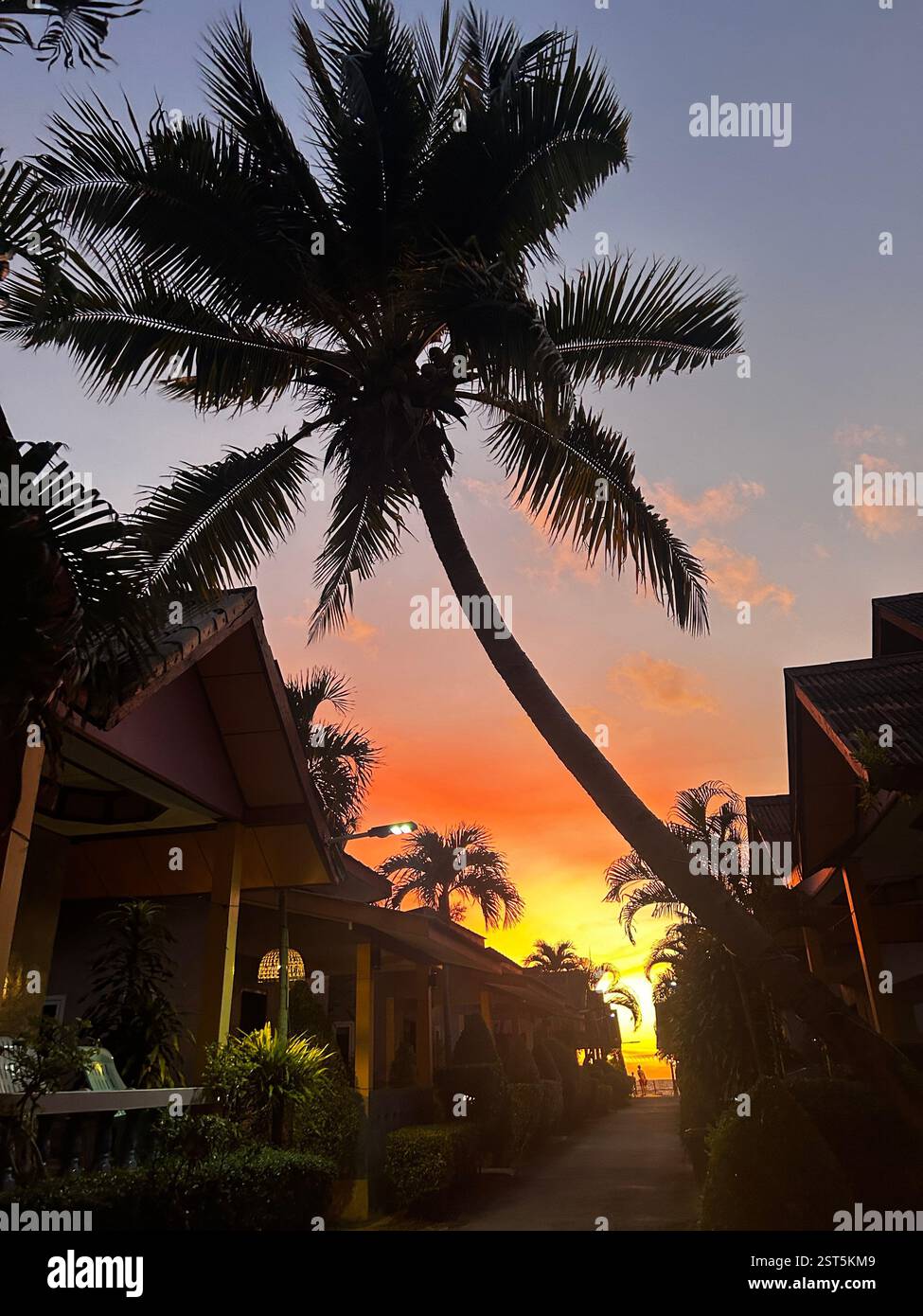 Tropical sunset - Smartphone Captured Stock Image