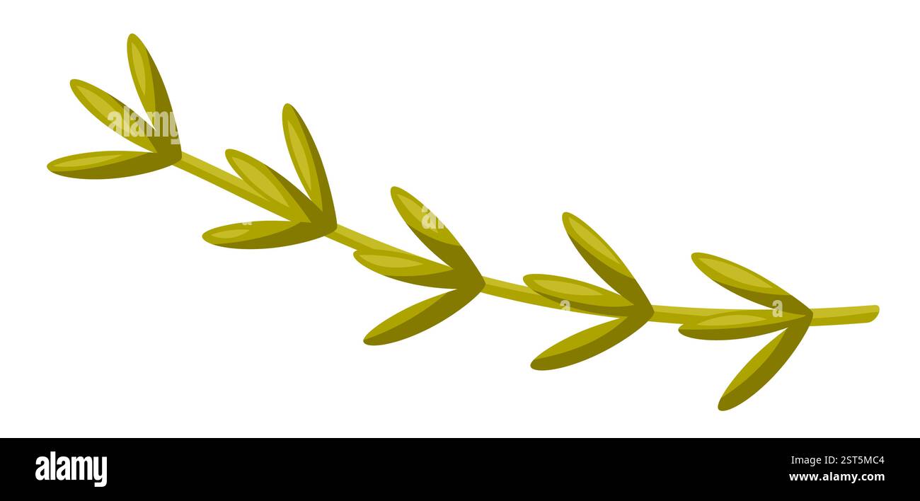 Illustration of rosemary. Stylized food object for cooking recipe and ...