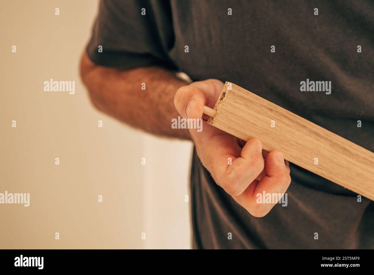 Using wooden dowels while assembling furniture at DIY home project, selective focus Stock Photo