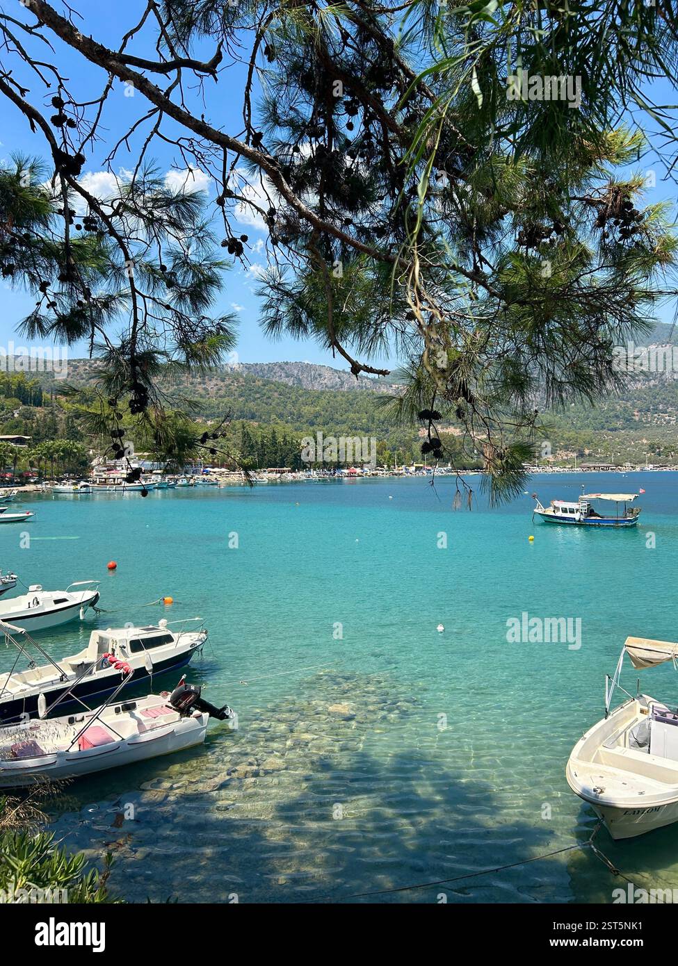 Beautiful view of the crystal clear blue waters of the Mediterranean Sea through the branches of a pine tree - Smartphone Captured Stock Image