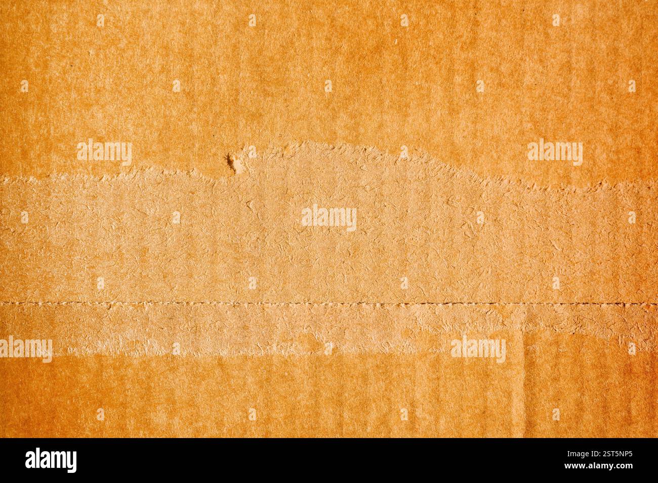 Torn cardboard paper background and texture, design element Stock Photo ...