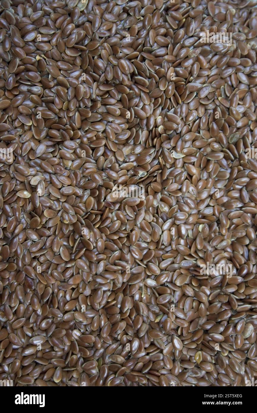 Flax seeds, Alsi, Rich in Omega 3, Natural Health food, Mumbai ...
