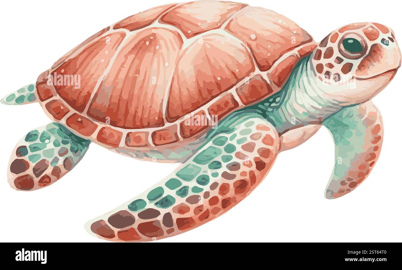 Watercolor Vector Illustration of a Sea Turtle Stock Vector Image & Art ...