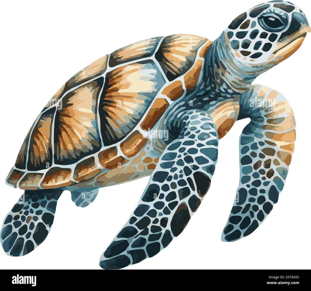 Watercolor Vector Illustration of a Sea Turtle Stock Vector Image & Art ...