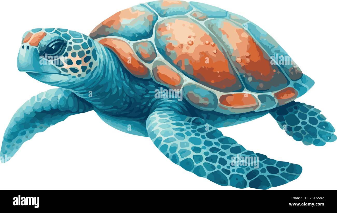 Watercolor Vector Illustration of a Sea Turtle Stock Vector Image & Art ...