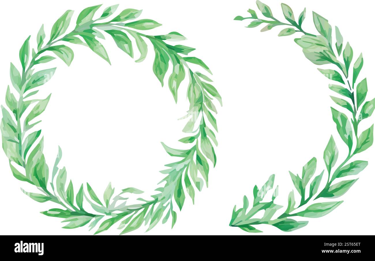 Watercolor Green Leaves Wreaths - Botanical Vector Set Stock Vector ...