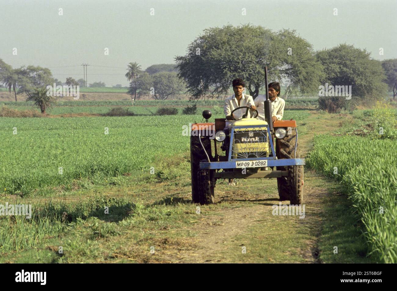 Tractor plowing field, maharashtra, india Stock Photo - Alamy