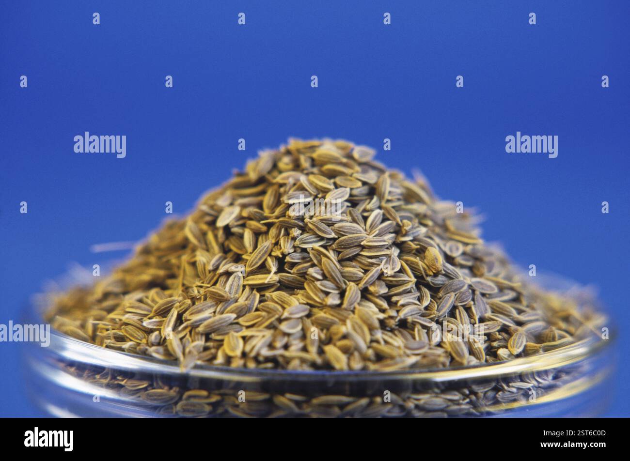 Spices, dill (anethum sowa), india Stock Photo - Alamy