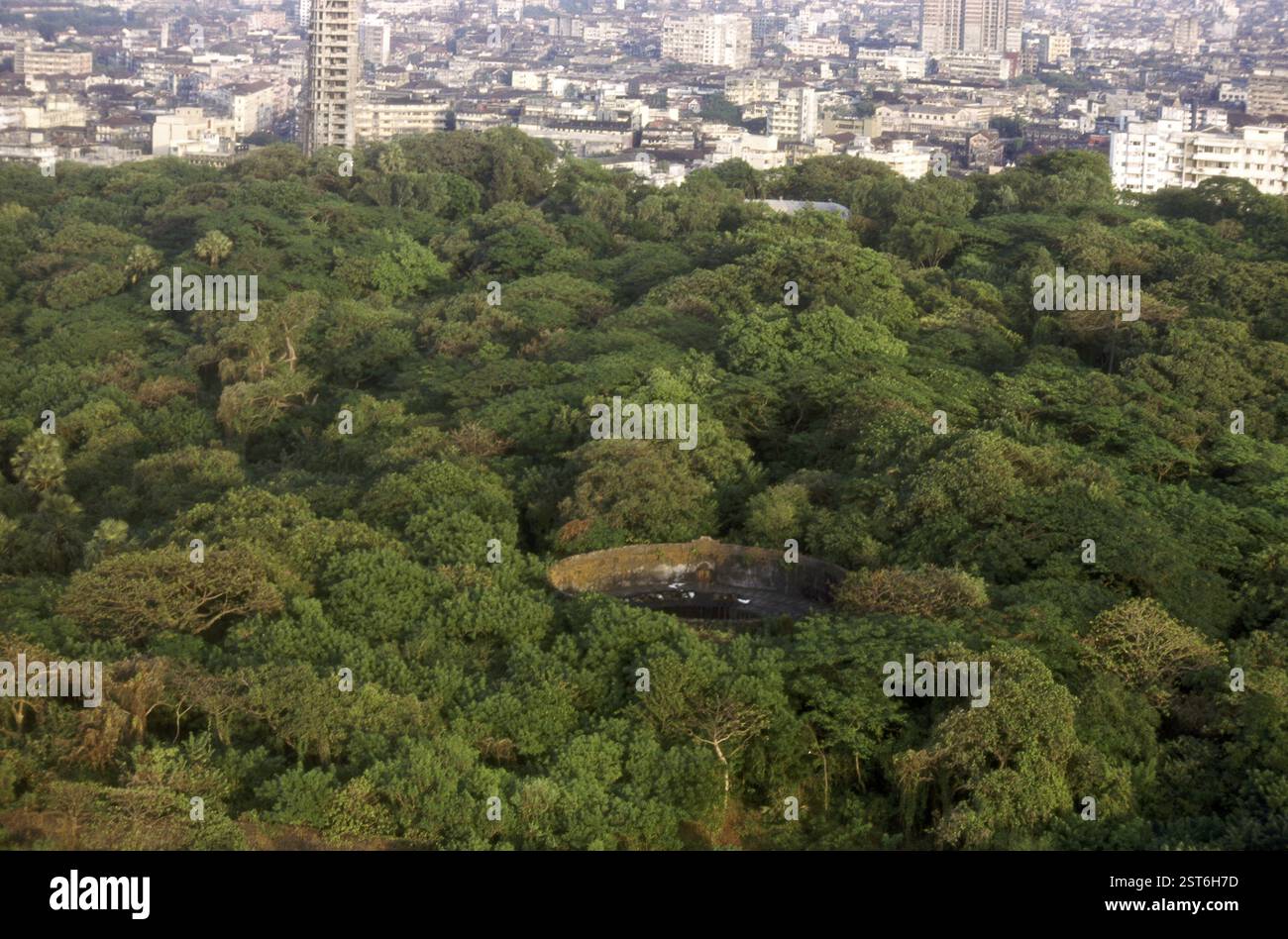 Tower of silence, Zoroastrian crematorium, Bombay Mumbai, Maharashtra, India, Asia Stock Photo