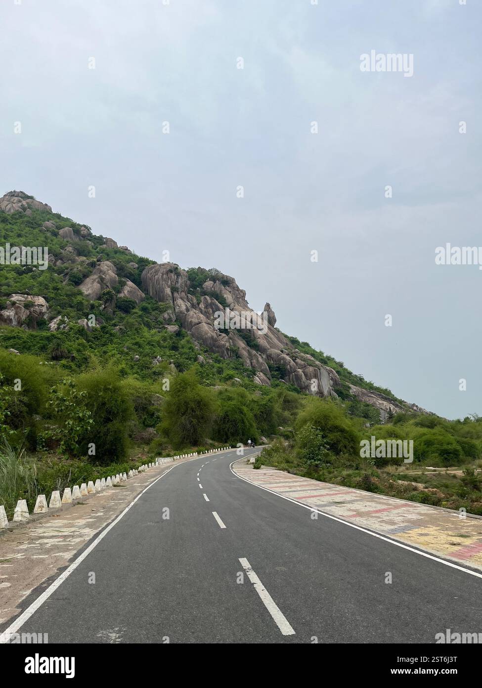 Scenic mountain road with greenery - Smartphone Captured Stock Image