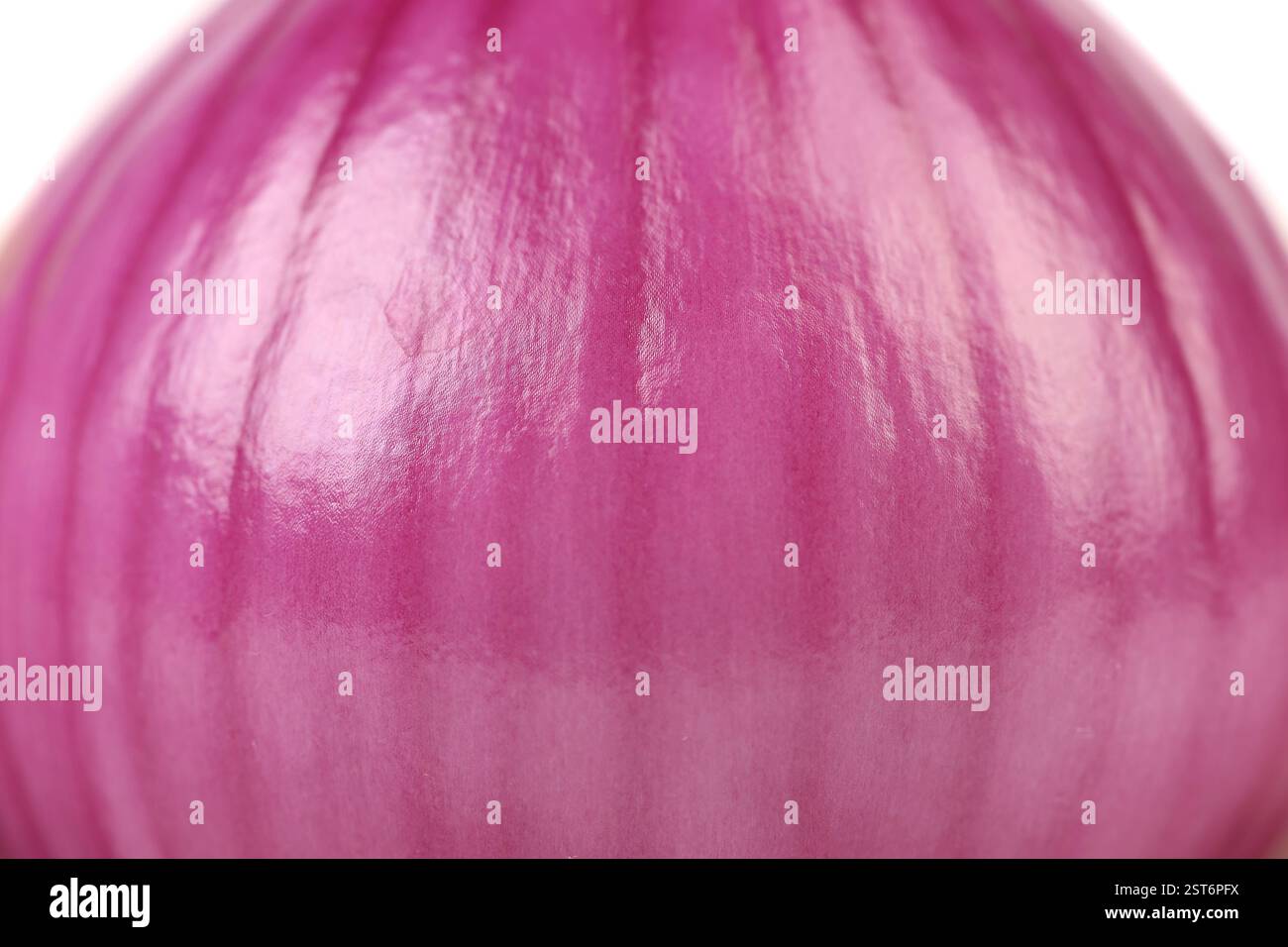 Spring onion rings hi-res stock photography and images - Alamy