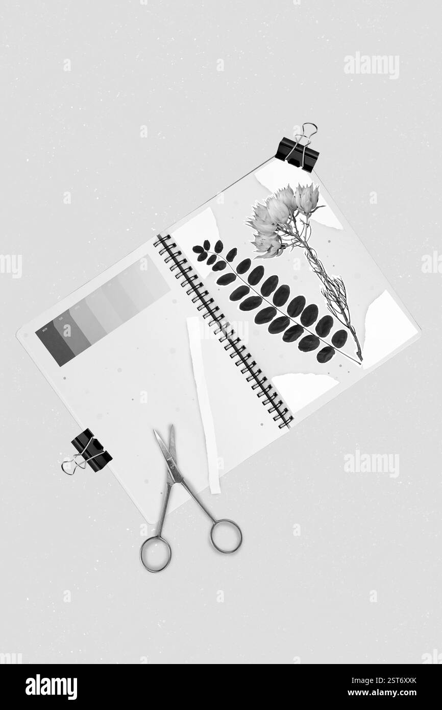 Collage photo of abstract objects for creating beautiful things ...