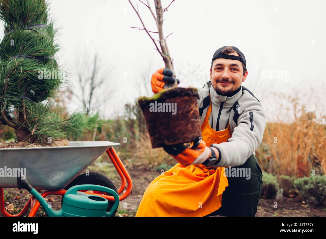 Checking Tree Planting Happy gardener planting trees in spring garden with pine tree on ...