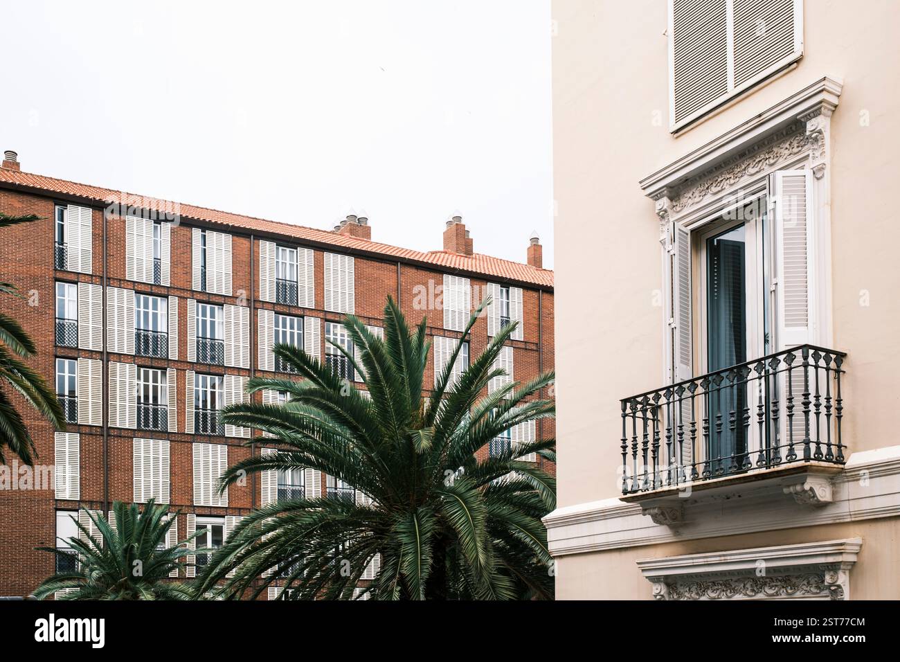 Palm trees modern buildings hi-res stock photography and images - Alamy