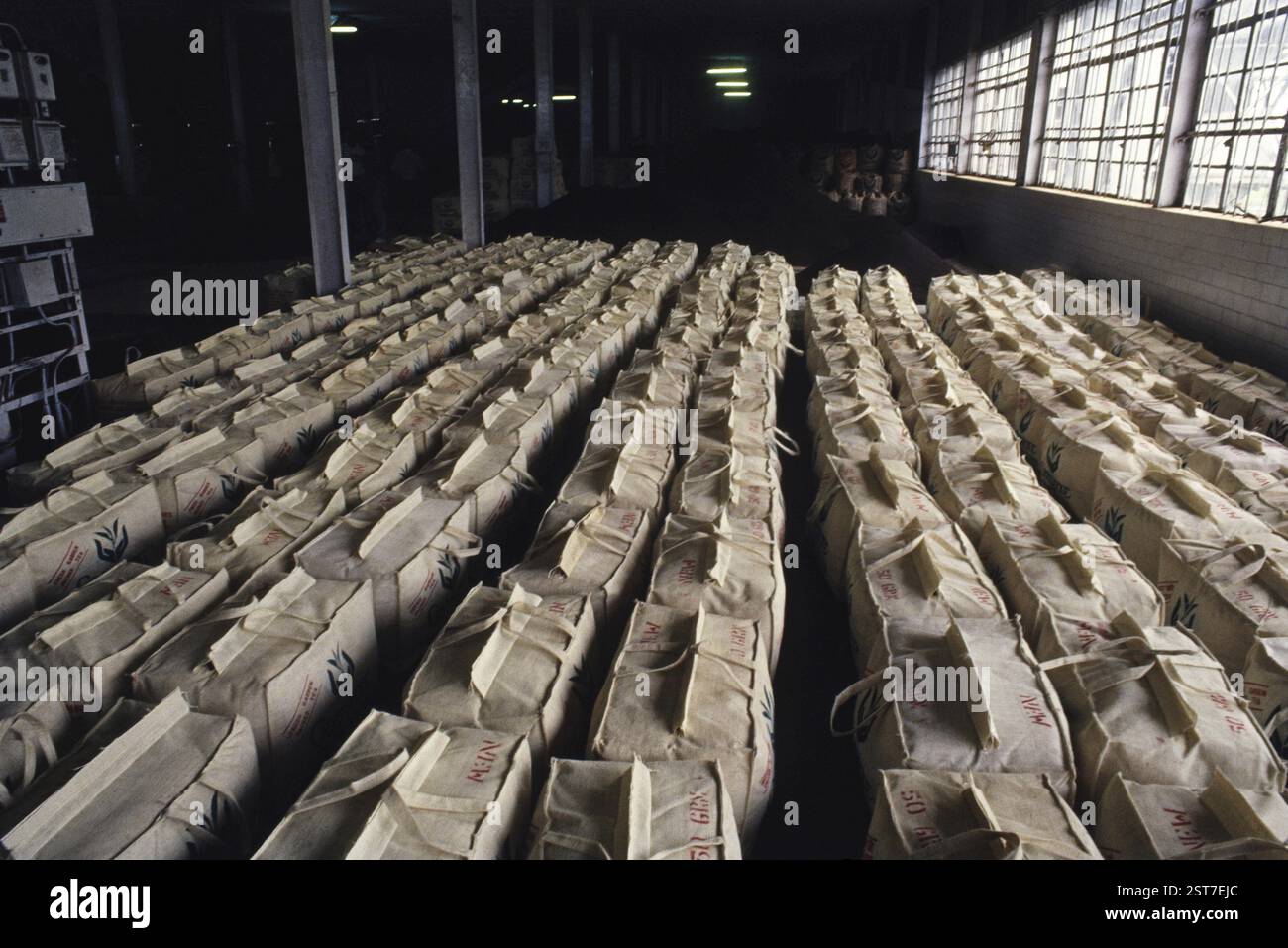 Tea bags ready for distribution in factory, india Stock Photo - Alamy
